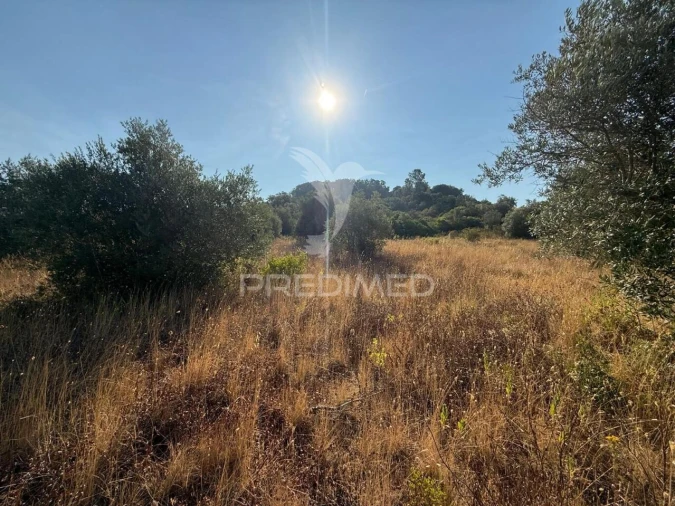 Terreno para Arrendamento em Bugalhos Foto 18