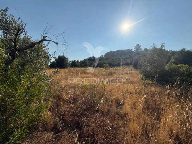 Terreno para Arrendamento em Bugalhos Foto 14