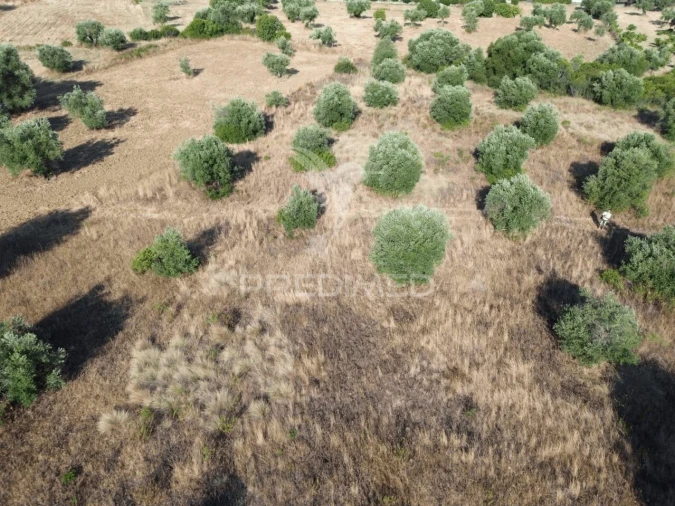 Terreno para Arrendamento em Bugalhos Foto 2