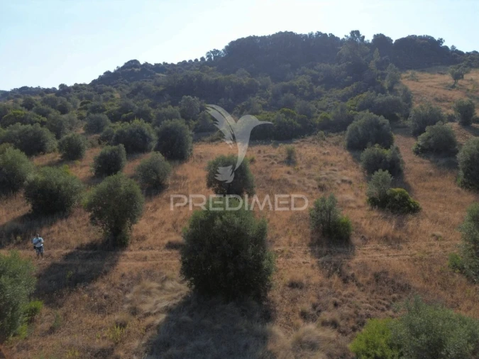 Terreno para Arrendamento em Bugalhos Foto 5