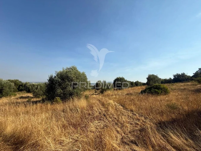 Terreno para Arrendamento em Bugalhos Foto 11