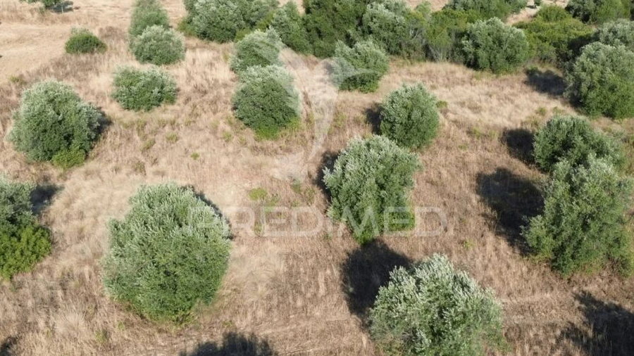 Terreno para Arrendamento em Bugalhos