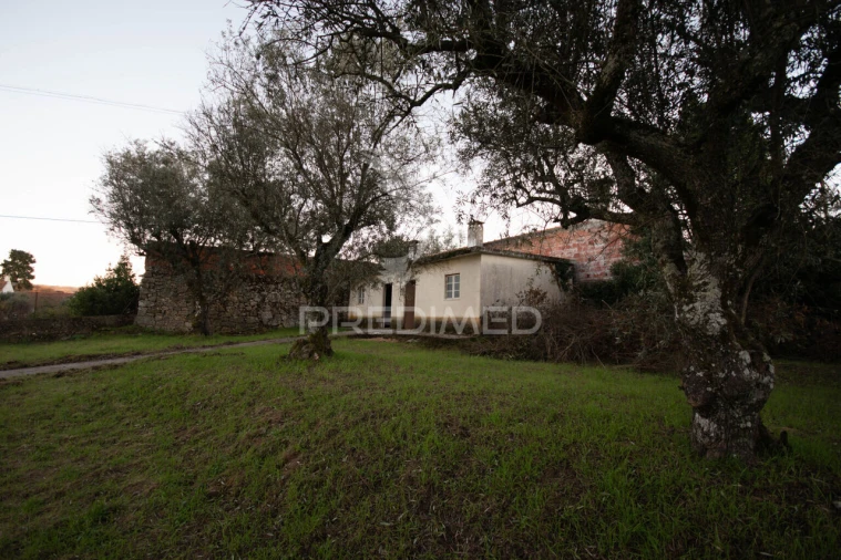 Moradia T3 para Venda em Ratoeira Foto 24