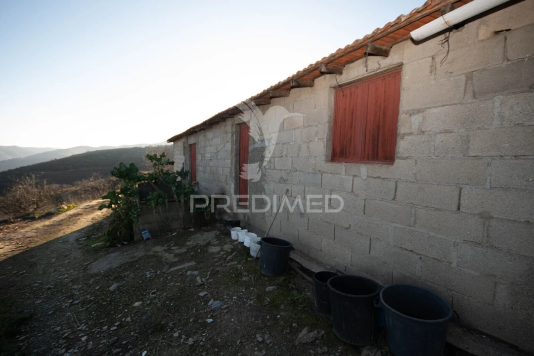 Terreno para Venda em Vila Nova de Foz Côa Foto 29