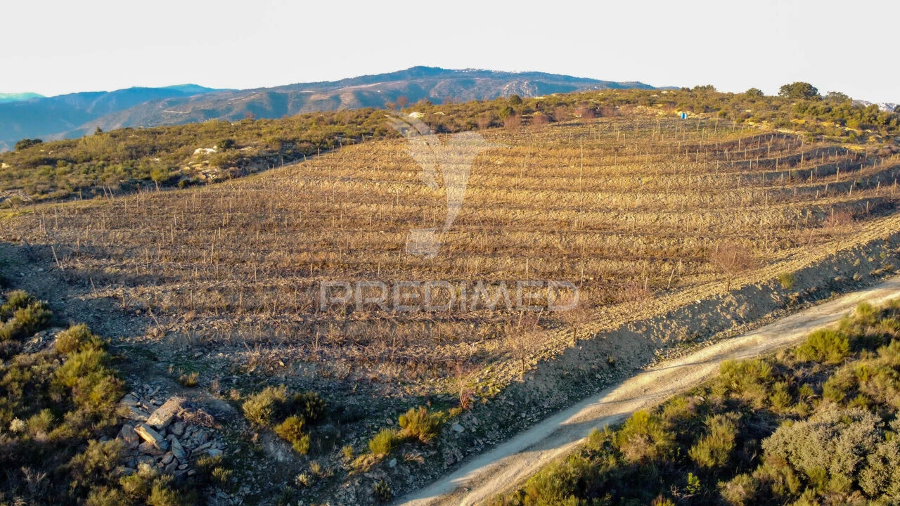 Terreno para Venda em Vila Nova de Foz Côa Foto 16