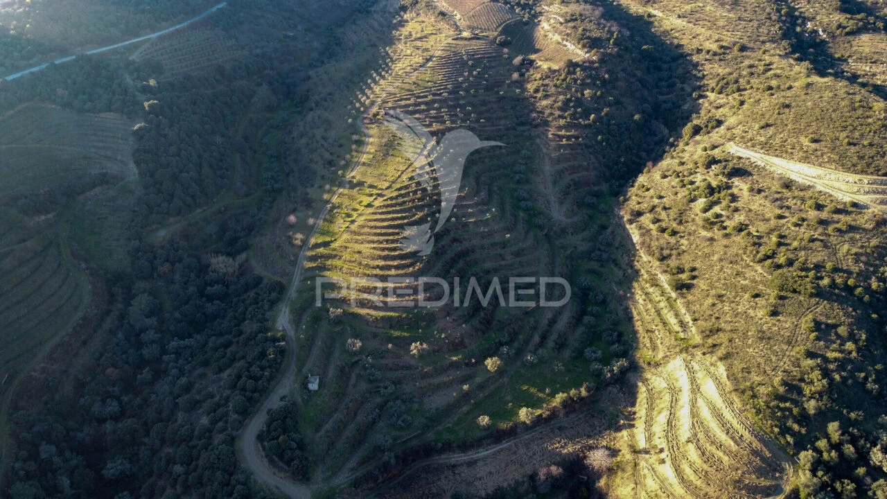 Terreno para Venda em Vila Nova de Foz Côa Foto 23