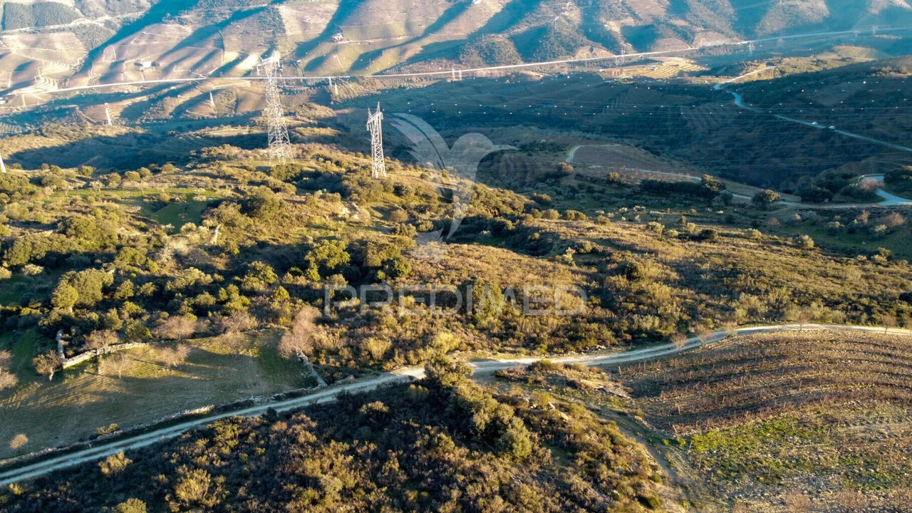 Terreno para Venda em Vila Nova de Foz Côa Foto 9