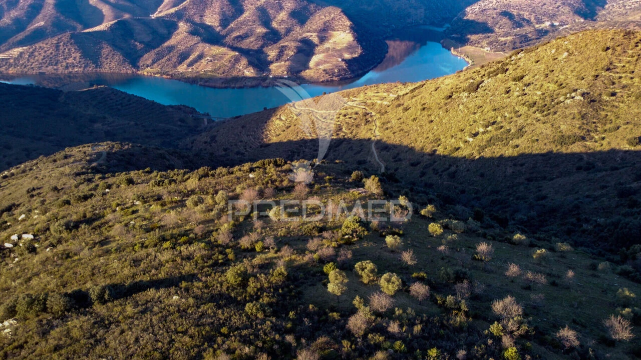 Terreno para Venda em Vila Nova de Foz Côa Foto 7