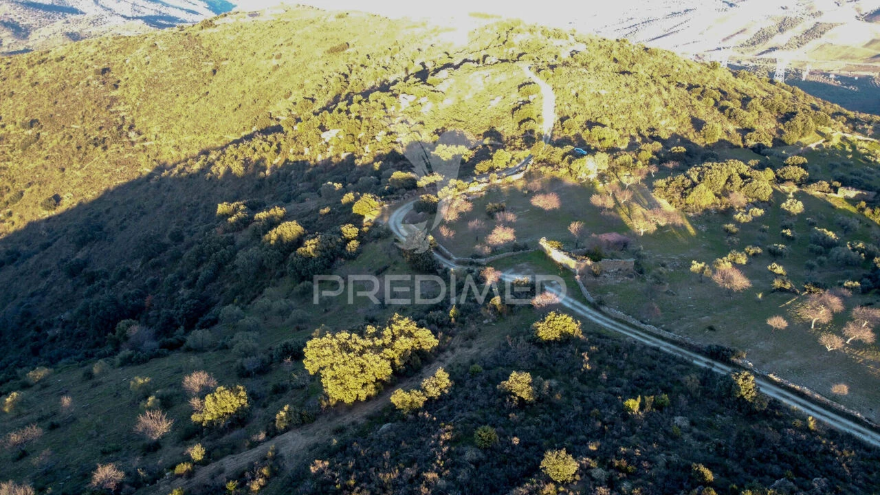 Terreno para Venda em Vila Nova de Foz Côa Foto 8