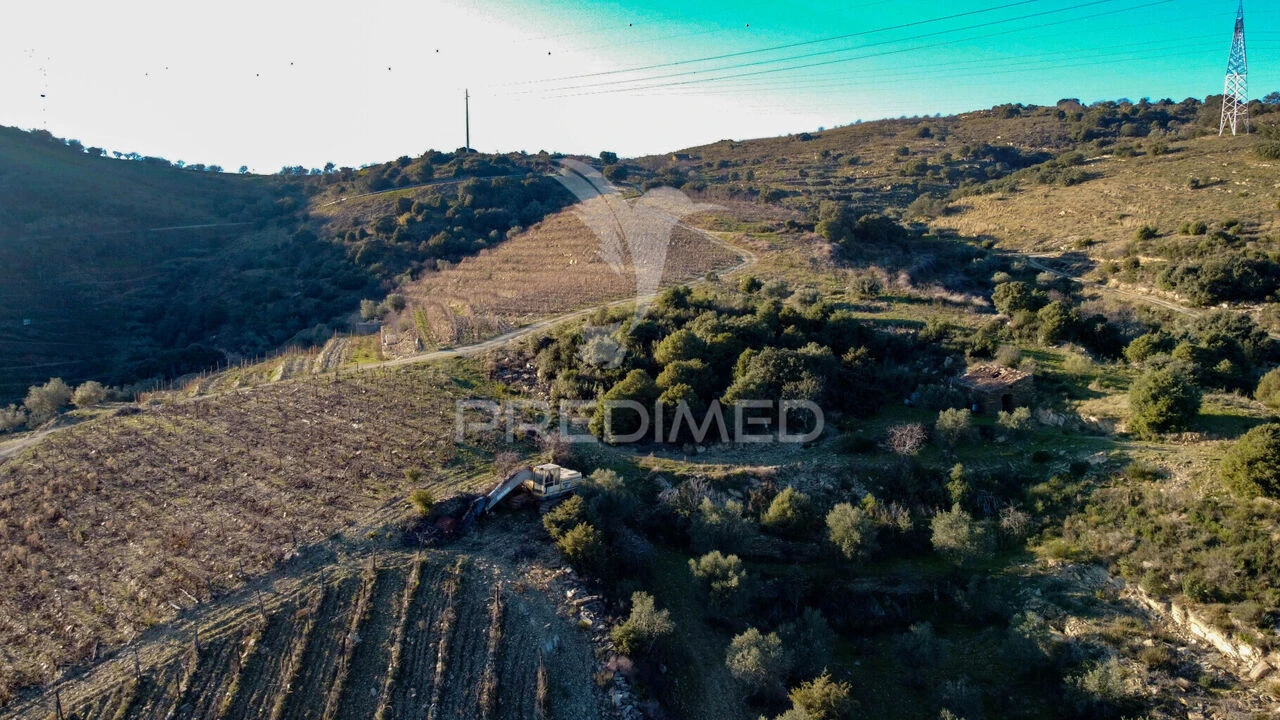 Terreno para Venda em Vila Nova de Foz Côa Foto 6