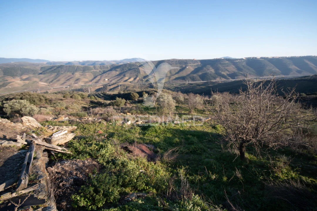 Terreno para Venda em Vila Nova de Foz Côa Foto 30