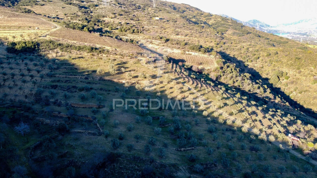 Terreno para Venda em Vila Nova de Foz Côa Foto 26