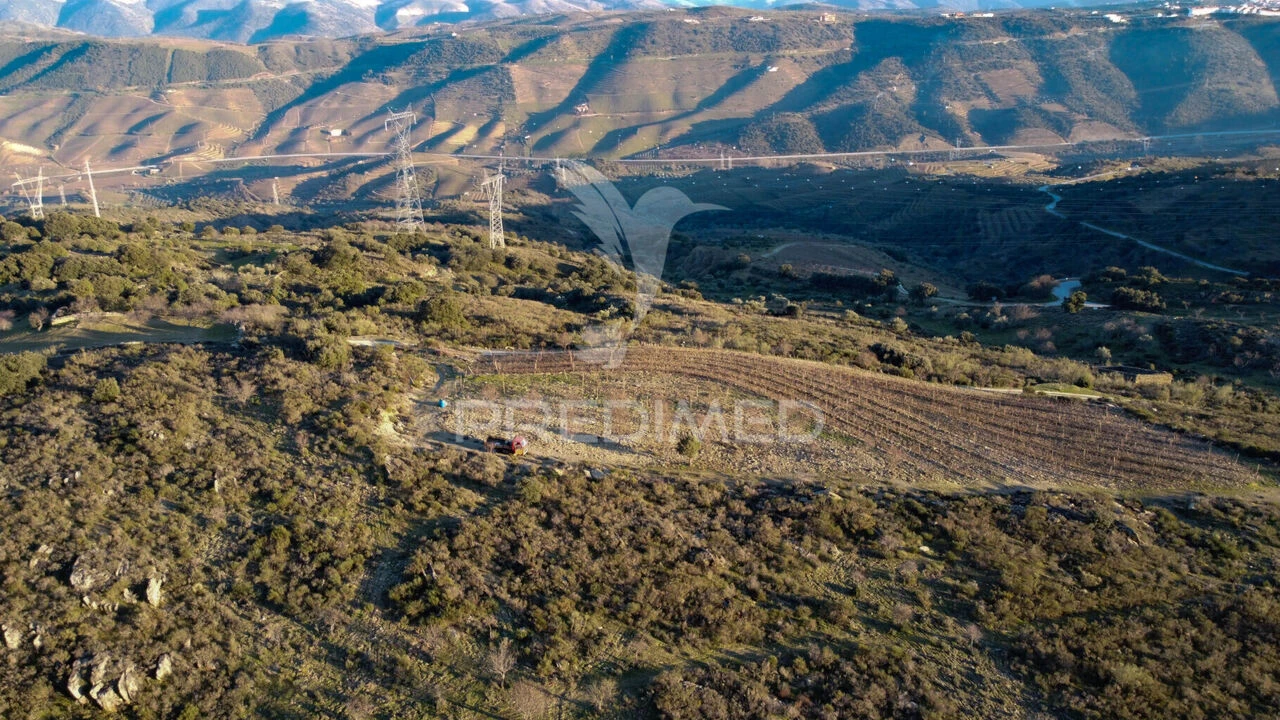 Terreno para Venda em Vila Nova de Foz Côa Foto 13