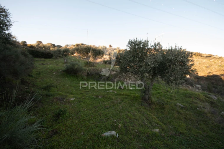 Terreno para Venda em Vila Nova de Foz Côa Foto 27
