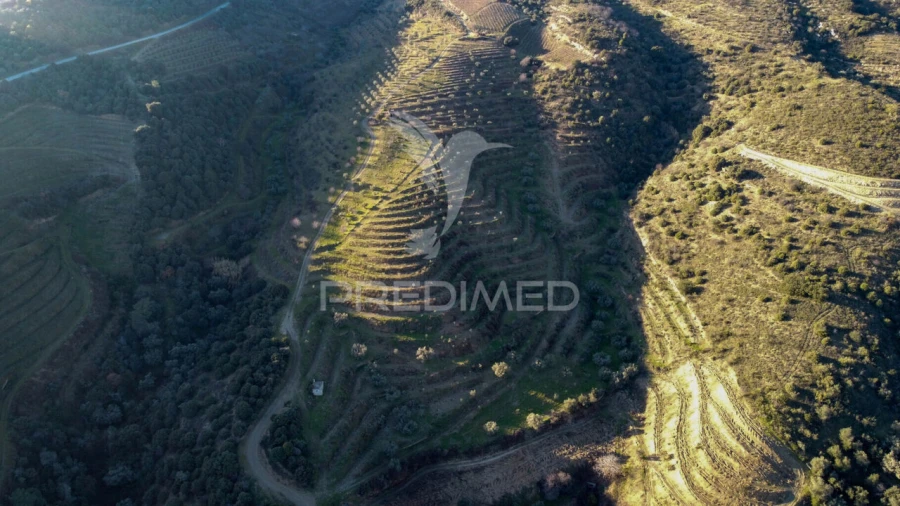 Terreno para Venda em Vila Nova de Foz Côa Foto 23