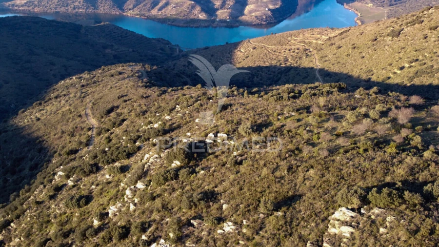 Terreno para Venda em Vila Nova de Foz Côa Foto 11