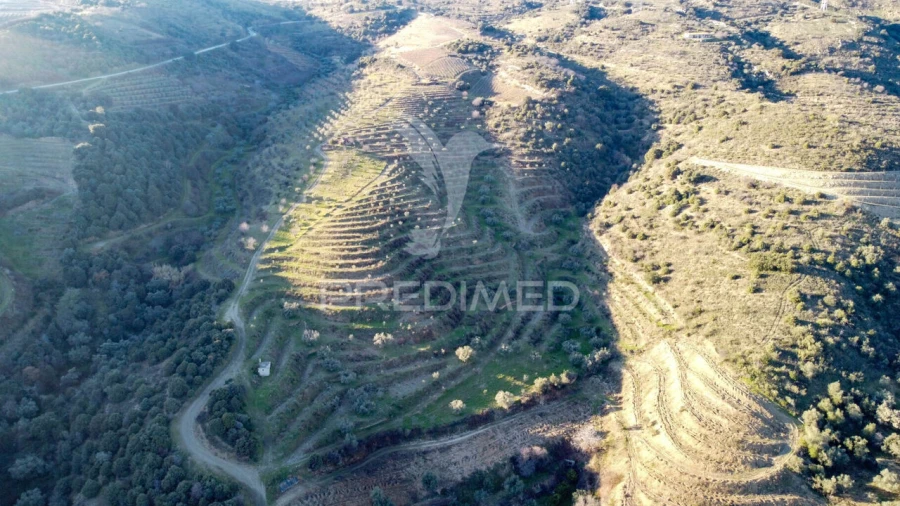 Terreno para Venda em Vila Nova de Foz Côa Foto 24