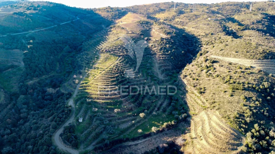 Terreno para Venda em Vila Nova de Foz Côa Foto 25