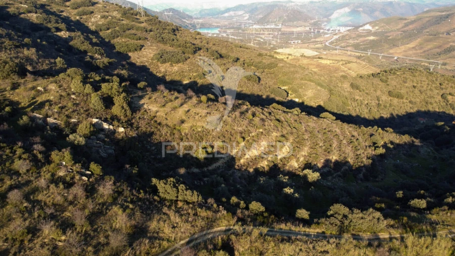 Terreno para Venda em Vila Nova de Foz Côa Foto 2