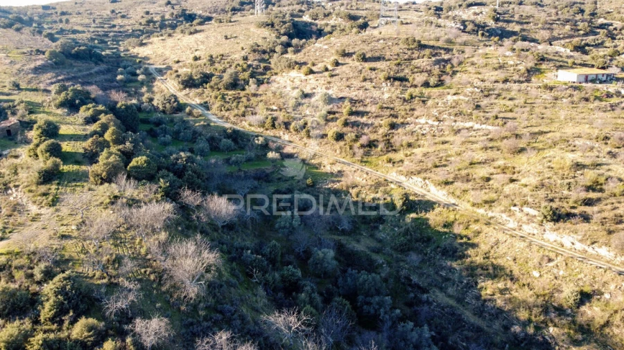 Terreno para Venda em Vila Nova de Foz Côa Foto 18