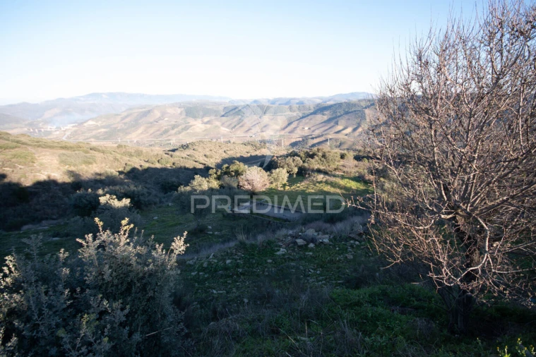 Terreno para Venda em Vila Nova de Foz Côa Foto 28