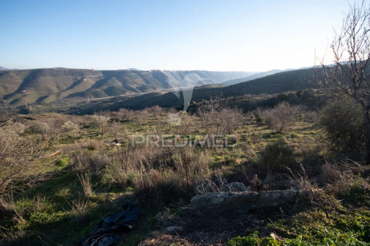 Terreno para Venda em Vila Nova de Foz Côa Foto 21