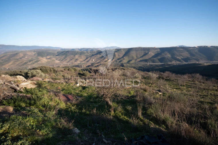 Terreno para Venda em Vila Nova de Foz Côa Foto 22