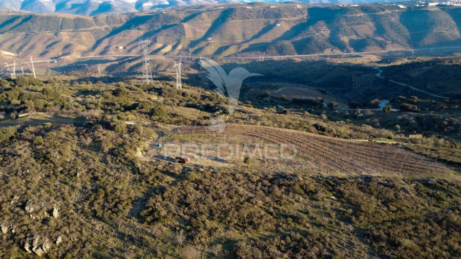 Terreno para Venda em Vila Nova de Foz Côa Foto 13