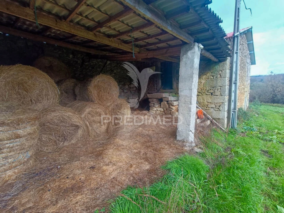 Quinta T0 para Venda em Tamanhos Foto 2