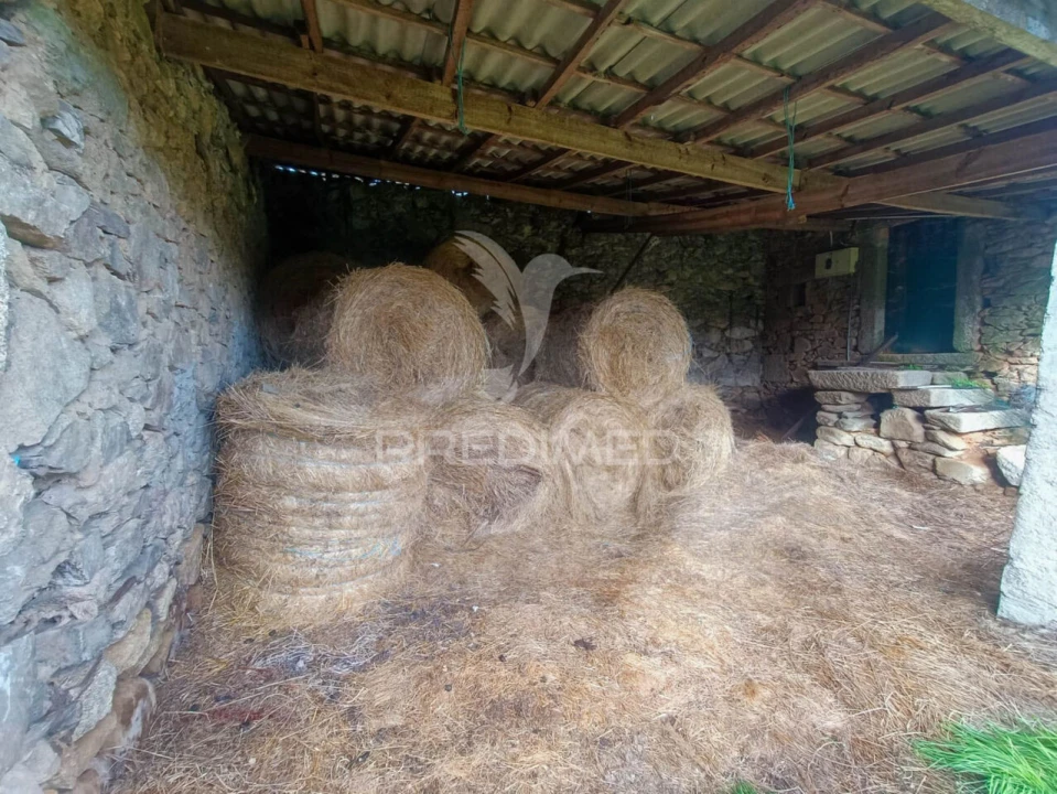 Quinta T0 para Venda em Tamanhos Foto 5