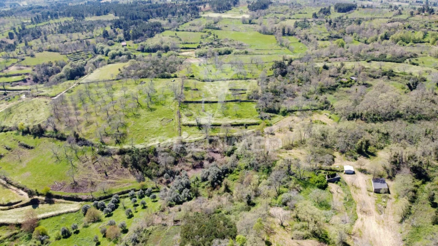 Quinta T0 para Venda em Tamanhos Foto 9