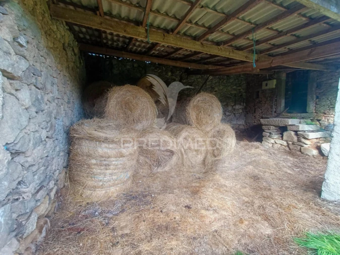 Quinta T0 para Venda em Tamanhos Foto 5