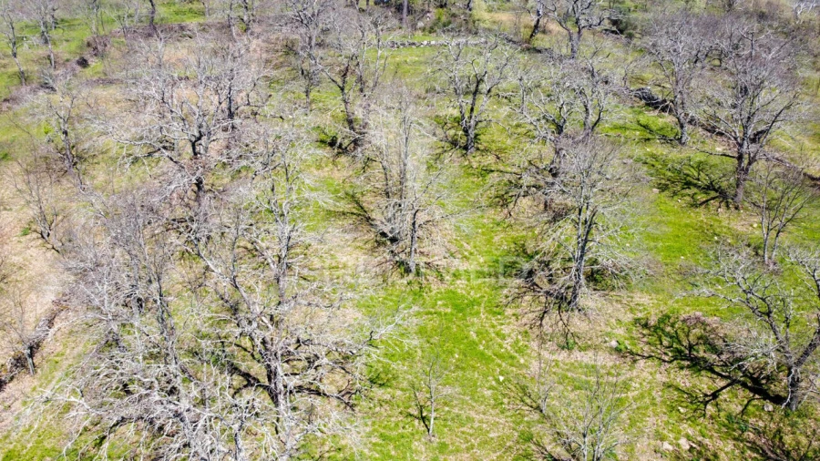Quinta T0 para Venda em Tamanhos Foto 15