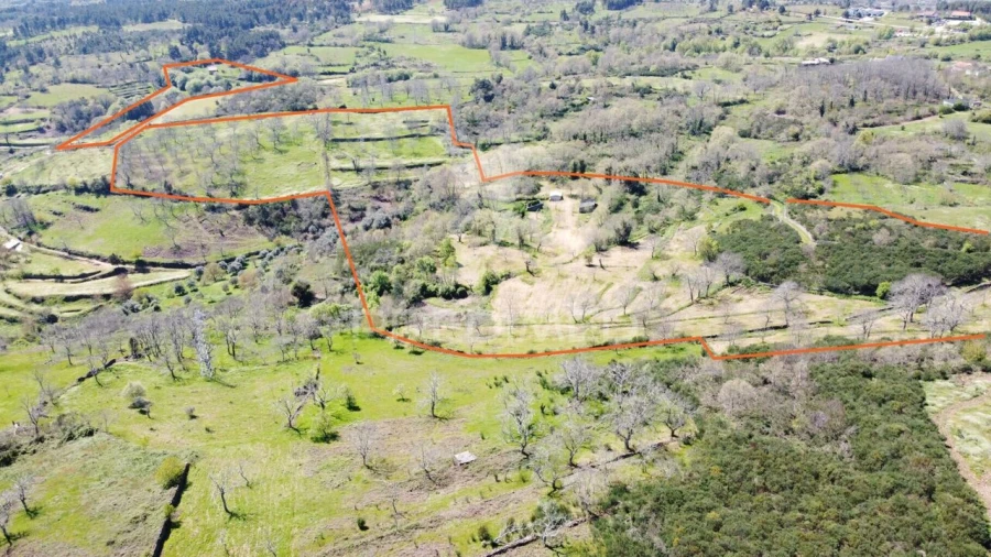 Quinta T0 para Venda em Tamanhos Foto 17