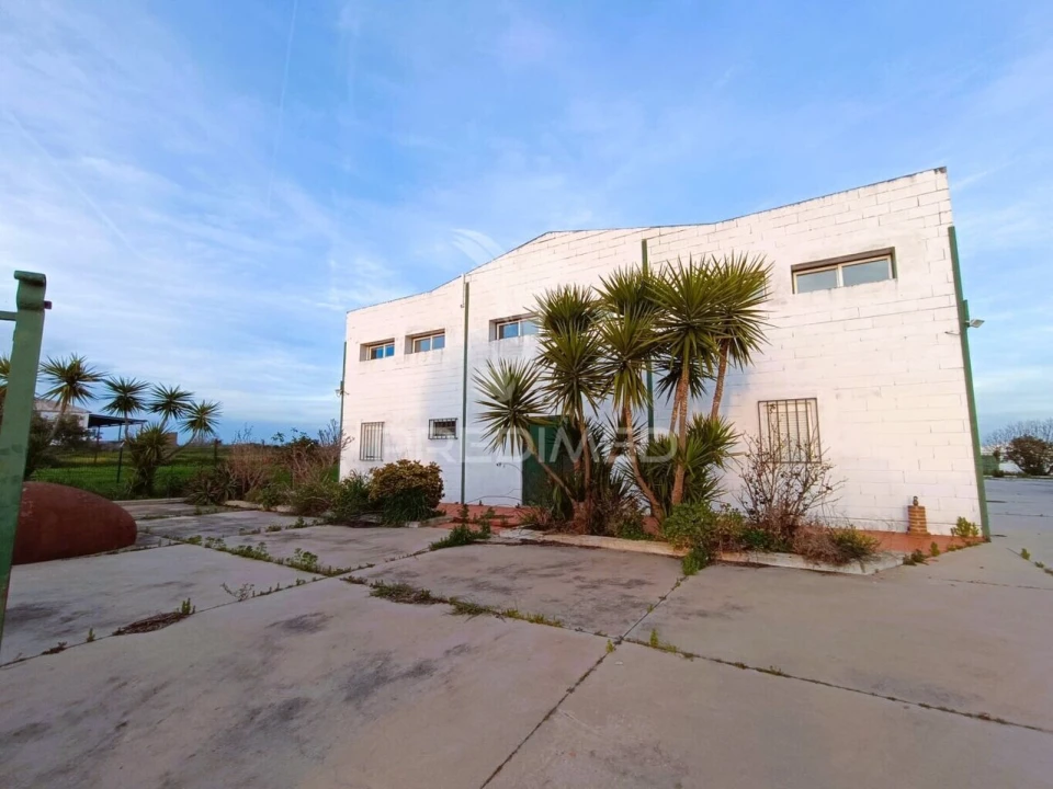 Armazém para Arrendamento em Montoito Foto 16