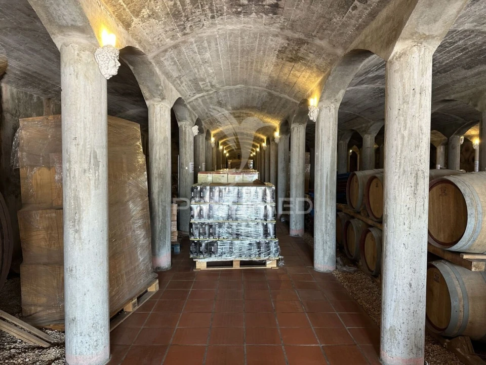 Armazém para Venda em Seiça Foto 34