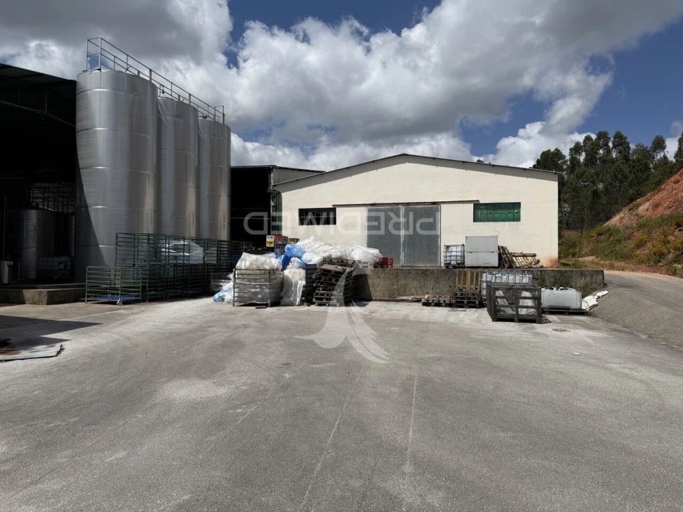 Armazém para Venda em Seiça Foto 13