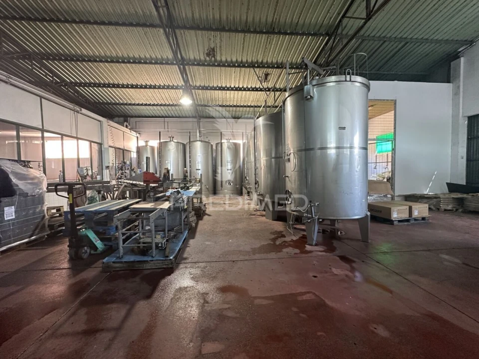 Armazém para Venda em Seiça Foto 10