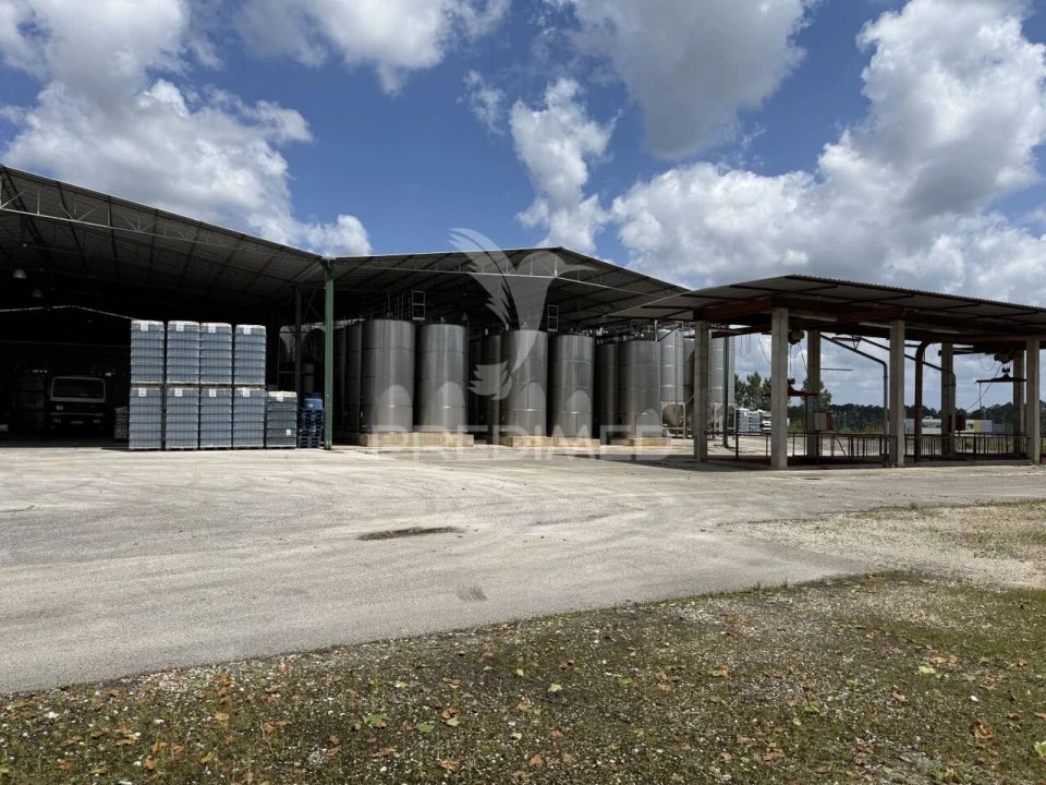 Armazém para Venda em Seiça Foto 16