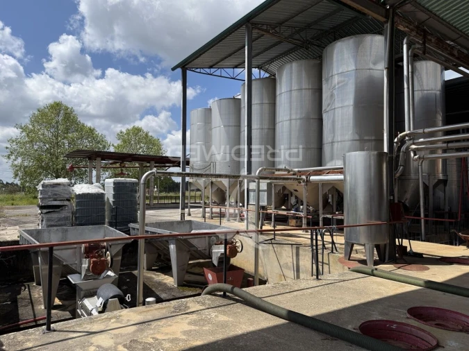 Armazém para Venda em Seiça Foto 18