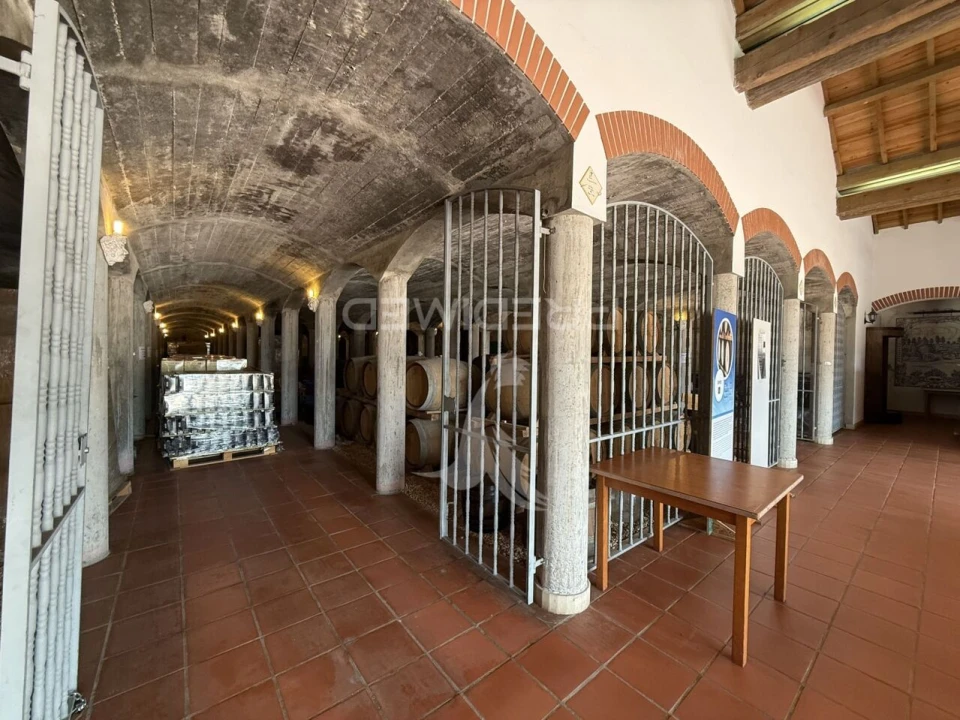 Armazém para Venda em Seiça Foto 30