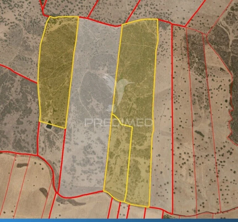 Terreno para Venda em Santiago Maior Foto 5