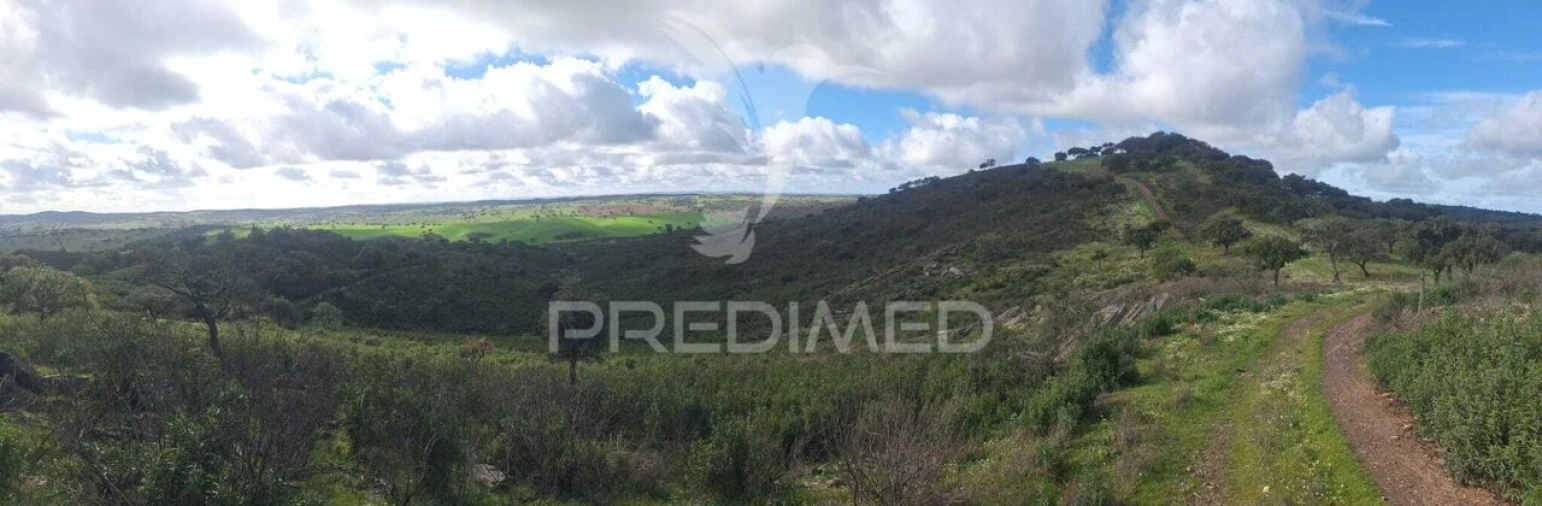 Terreno para Venda em Santiago Maior Foto 2