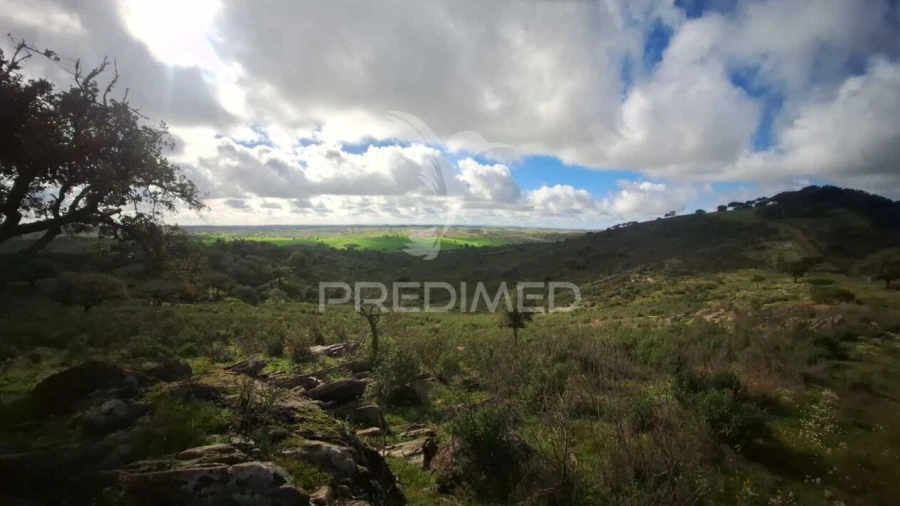 Terreno para Venda em Santiago Maior