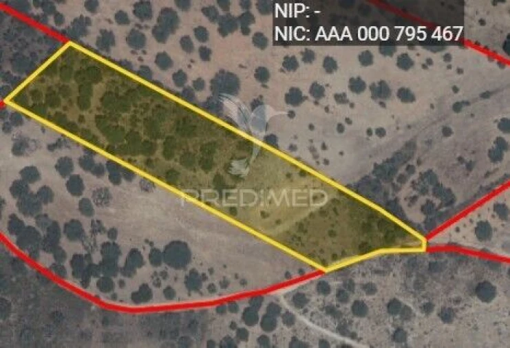 Terreno para Venda em Capelins (Santo Antonio) Foto 3