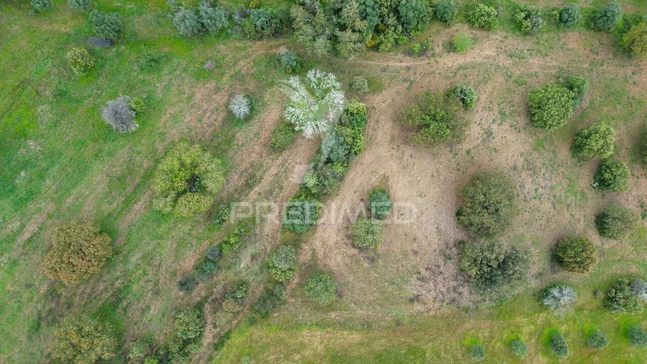 Terreno para Venda em Capelins (Santo Antonio) Foto 4