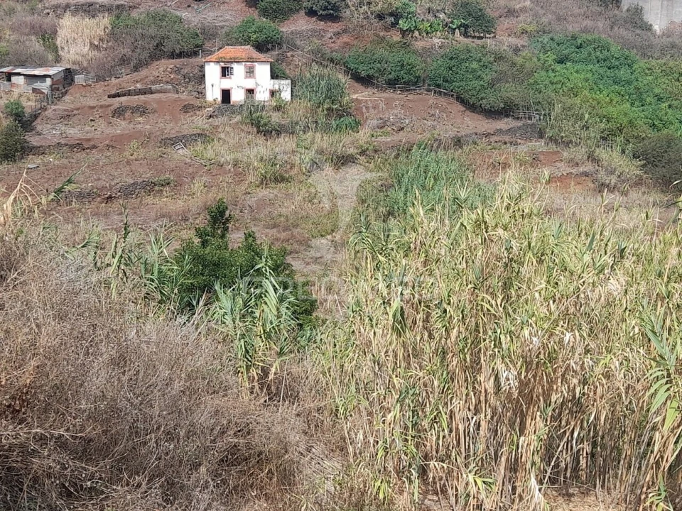Terreno para Venda em Gaula Foto 8