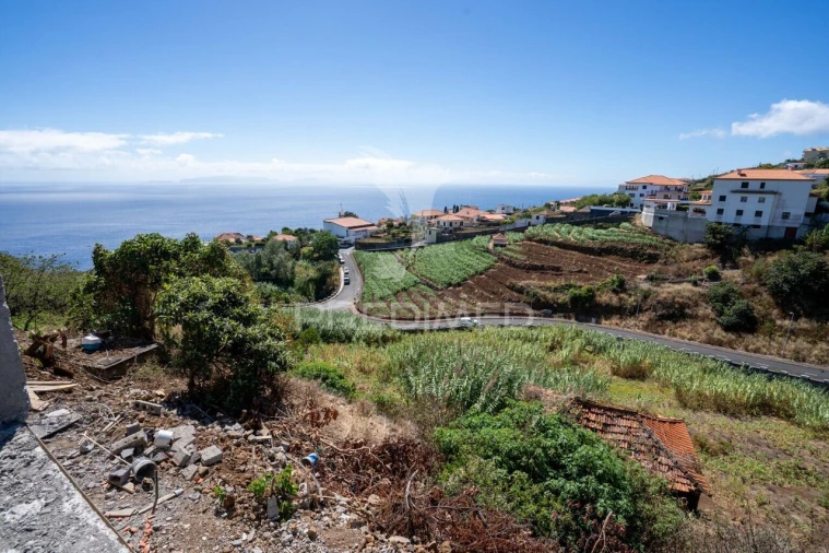 Terreno para Venda em Gaula Foto 4