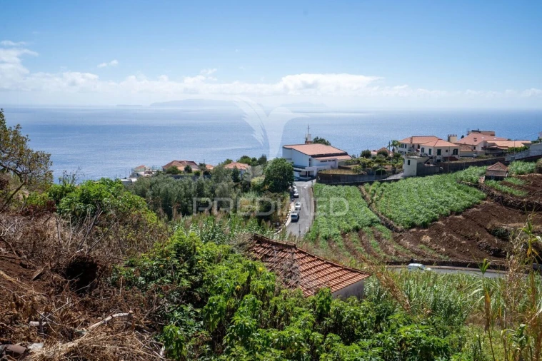 Terreno para Venda em Gaula Foto 2