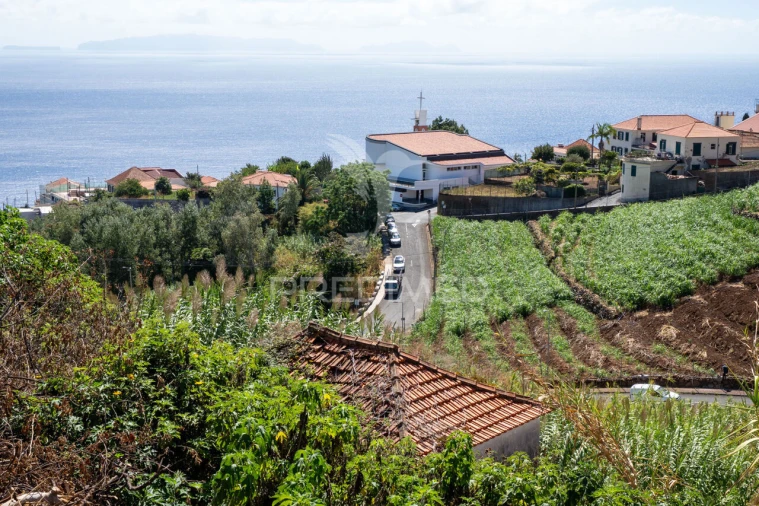 Terreno para Venda em Gaula Foto 3